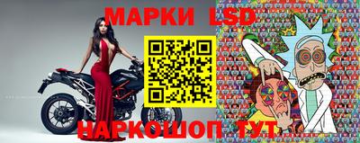 мдпв Новозыбков