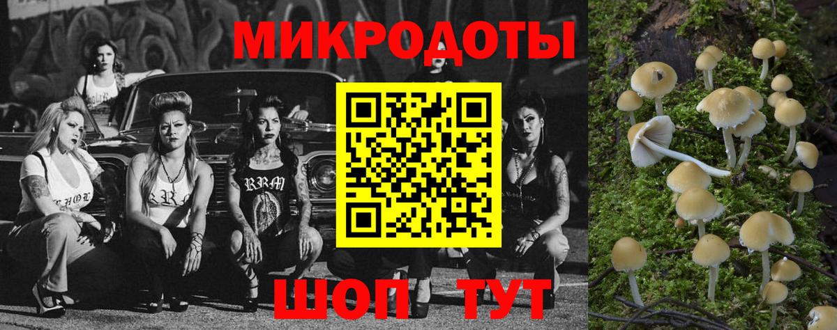 Псилоцибиновые грибы Cubensis  Вход с VPN  Саратов 